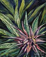 Pictures of Marijuana Painting