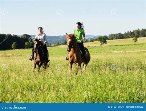 Women Horseback Riding In A Landscape Stock Image Image Of Sport