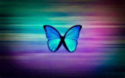 Butterfly Wallpapers Colorful Artistic Butterflies Desktop Flowers