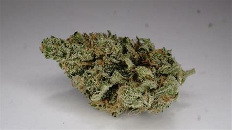 Purple Og Kush Strain Information And Reviews Wheres Weed
