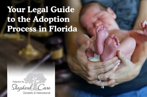 Adoption Process Adoption Agency In Florida