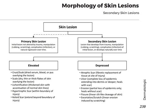 Morphology Of Secondary Skin Lesions Description Grepmed