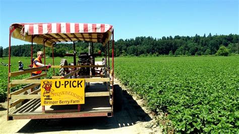 What Is A U Pick Farm Yakima