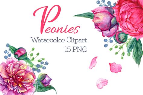 Peony Watercolor Clipart Pink Peonies PNG Files Floral DIY 570877