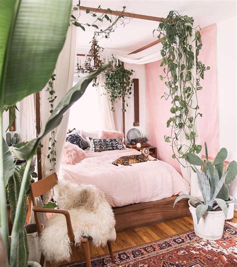 Bedroom Inspo Plants 21 Small Indoor Plants For Apartment Living
