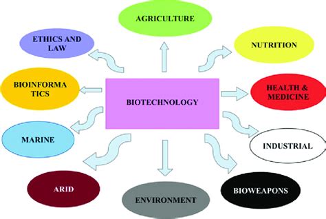 Areas Of Biotechnology The Figure Represents Various Streams Of