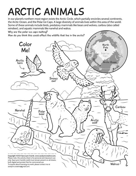 Arctic Animals Coloring Page Arctic Animals Animal Coloring Pages