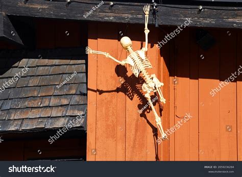Skeleton Climbing Building Stock Photo 2059236284 Shutterstock