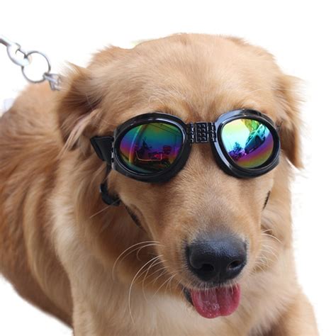 6 Best Dog Sunglasses And Goggles American Kennel Club