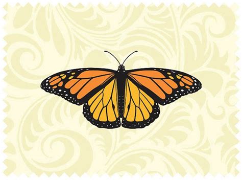 Free Monarch Butterfly Svg File 838 SVG PNG EPS DXF File