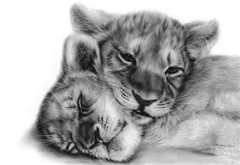 Lion Cubs Pintura Por Danguole Serstinskaja Artmajeur