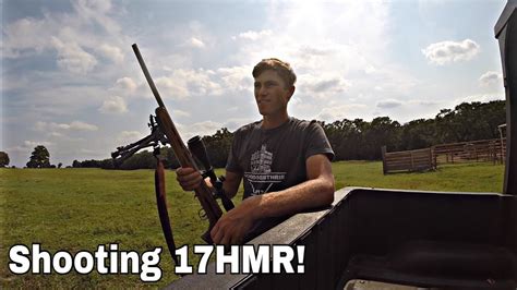 How Accurate Is A 17 Hmr At 100 Yards Shooting 17hmr Youtube