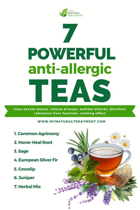 7 Powerful Anti Allergic Teas Natural Antihistamine Natural Remedies