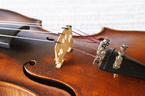 Learn To Play Viola Axialmusic