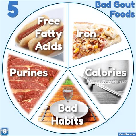 What Are Your 5 Bad Gout Foods Goutpal Gout Facts