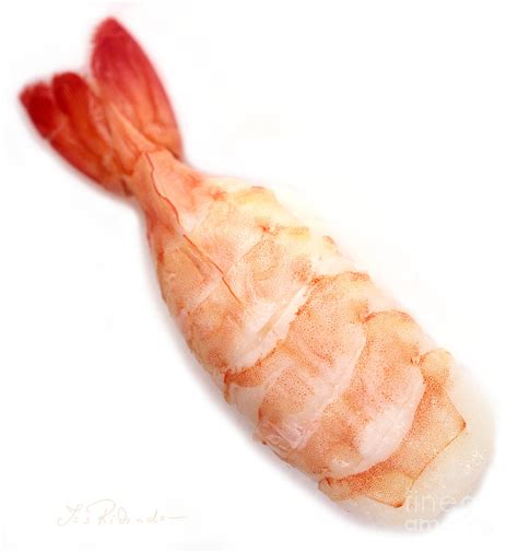 Sushi Cooked Shrimp Photograph By Iris Richardson Pixels