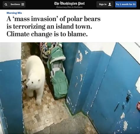Msm Blame Climate Change For Polar Bears On Island