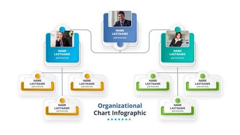Organizational Chart Infographic Premast Plus