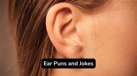 60 Best Ear Puns And Jokes That You Will Love Eastrohelp