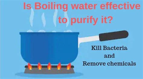 Does Boiling Purify Water Kill Bacteria And Remove Chemicals