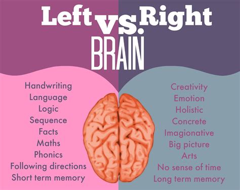 Left Brain Vs Right Brain Whats The Difference Foods For Brain My Xxx Hot Girl