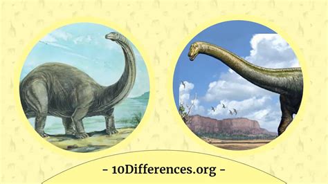 Brontosaurus Vs Diplodocus Quelle Est La Différence