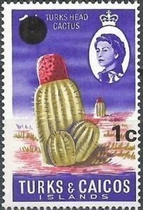 Stamp Turk S Head Cactus Turks And Caicos Islands Decimal Currency