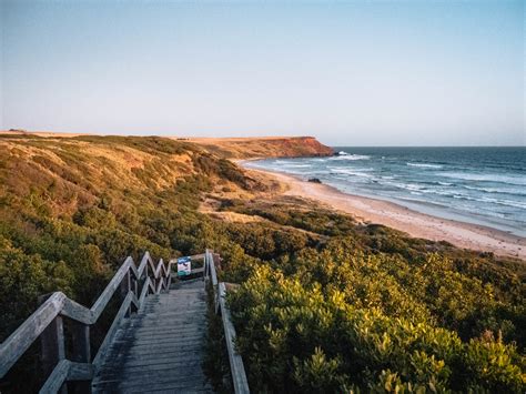 10 Best Places To Stay On Phillip Island Beyond Wild Places