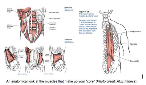 4 Part Exercise Mini Series Core Strengthening Exercises For Parkinson