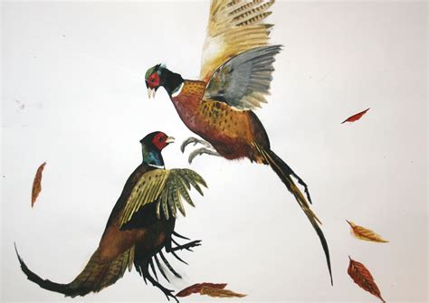 Watercolour Painting Of Fighting Pheasants Painting Animal Art Art