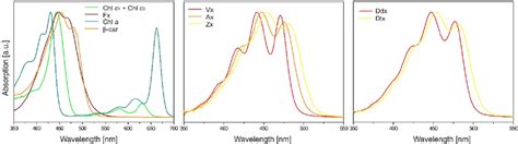 Absorption Spectra Of Photosynthetic Pigments Recorded During Hplc Dad