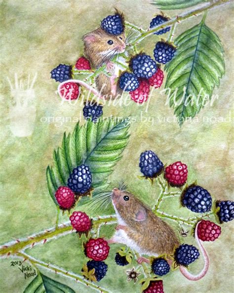 Print Of Field Mice In The Blackberries Original Watercolor Painting 8