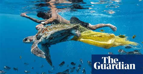 Ciwem Environmental Photographer Of The Year 2018 Winners In Pictures