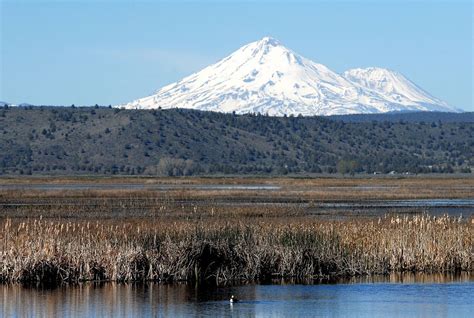 Marsh Scene At Lower Klamath Nwr Oregon Pinned By Haw Crater Lake National Park