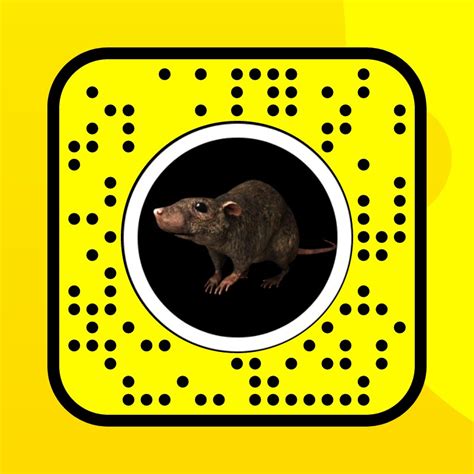 Rat Lens By Pixel Chefs Snapchat Lenses And Filters