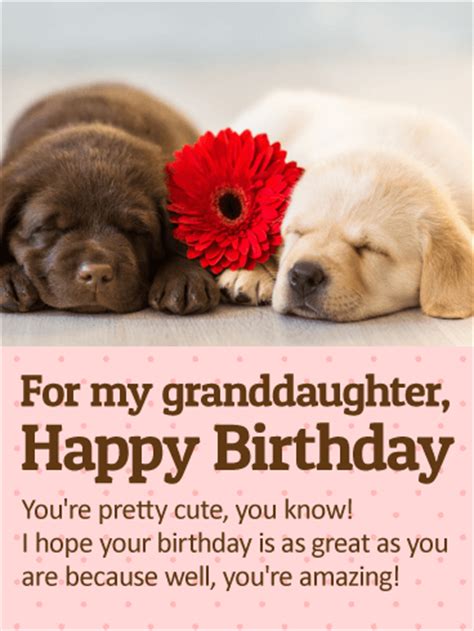 Sweet birthday wishes for granddaughter | happy birthday granddaughter quotes, greetings, images. To my Cute Granddaughter - Happy Birthday Wishes Card ...