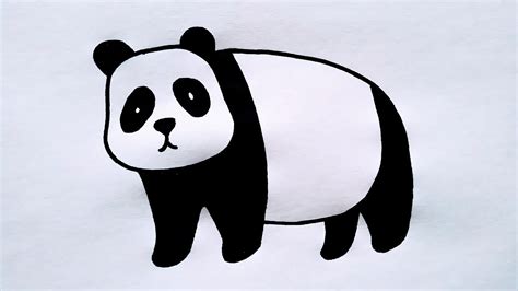 Como Dibujar Un Oso Panda Fácil Y Sencillo Paso A Paso Youtube