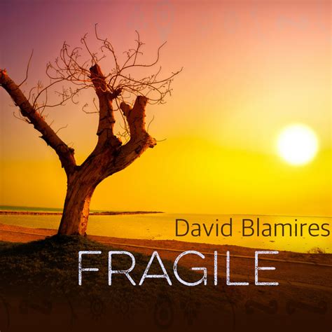 Fragile Single By David Blamires Spotify