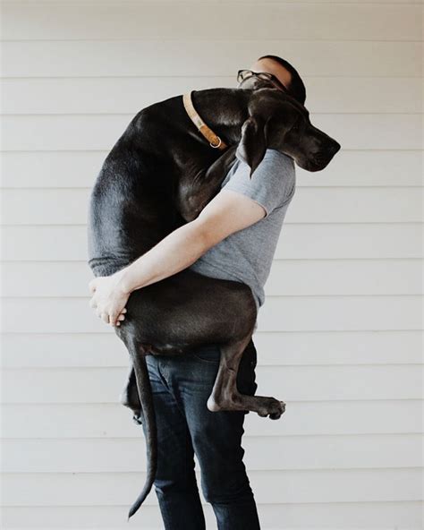 Do Dogs Feel Love When You Hug Them