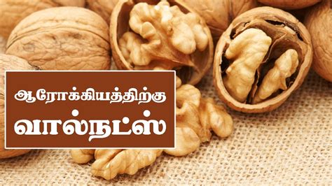 வால்நட் சாப்பிடுவதால் பயன்கள் என்ன? | Walnut Benefits in Tamil | Walnut ...