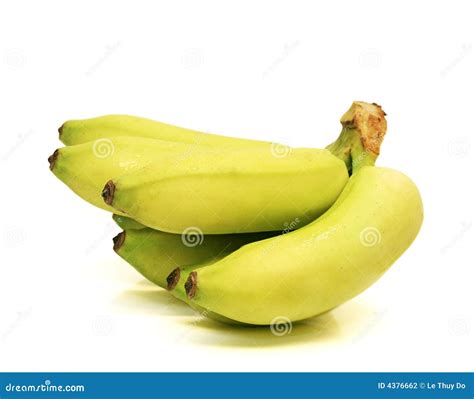 Cluster Of Green Baby Bananas Stock Photo Image Of Group Color 4376662