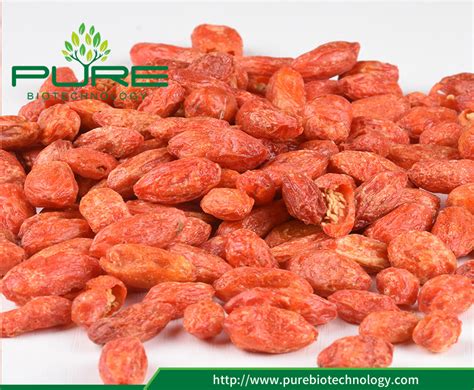 Freeze Dried Red Goji Berry China Manufacturer