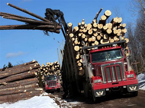 Western Star 4900 Fa Logging Truck Heavyhauling White Western Star