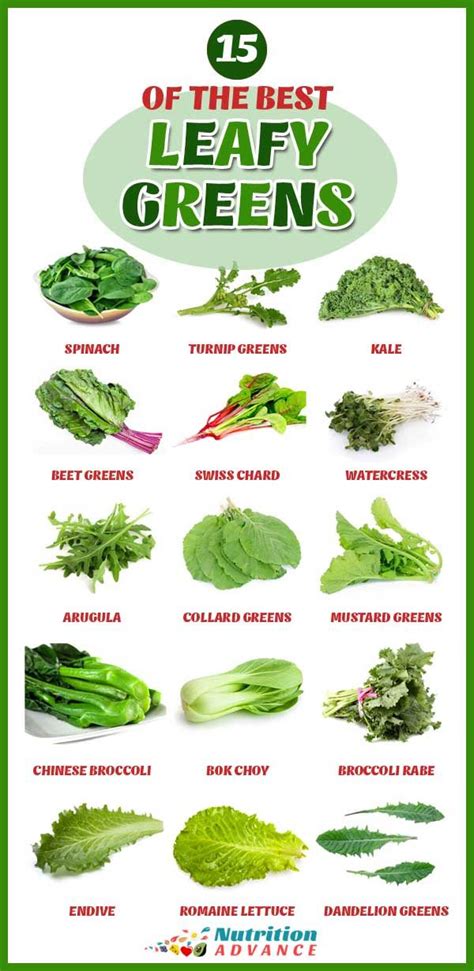 21 Healthy And Nutritious Leafy Green Vegetables Green Leafy