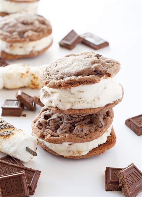 Oooey Gooey Hot Chocolate Ice Cream Sandwich Recipe Best Friends For