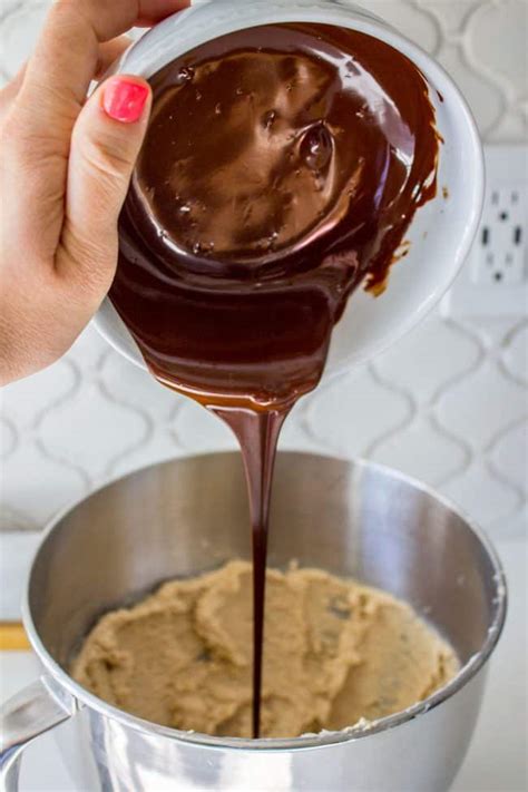 A keto double chocolate chip cookie. The Best Bakery Style Double Chocolate Chip Cookies - The Food Charlatan