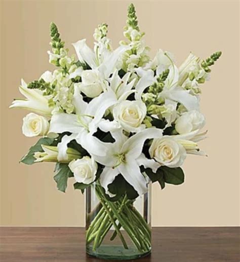 White mums 10 pack after payment is received i will message you to set up a time to deliver the product. Classic All-White Arrangement in Saint Paul, MN ...