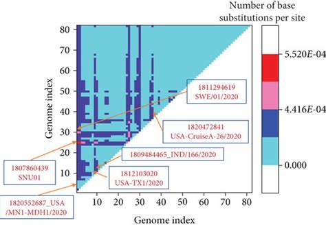 A Evolutionary Divergence Of 82 Genomes Is Shown Divergence Is Shown