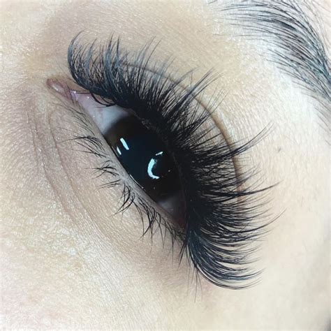 Natural Wispy Cat Eye Eyelash Extensions Cat Meme Stock Pictures And