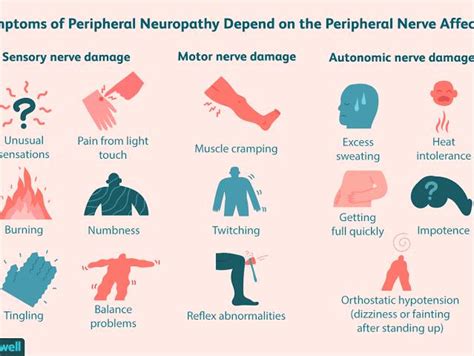 Symptoms Of Peripheral Neuropathy Every Nerve In